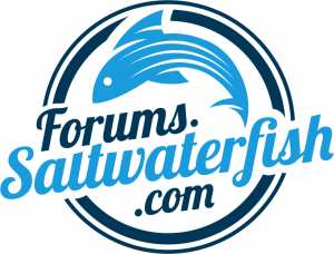 Saltwater Fish Forums