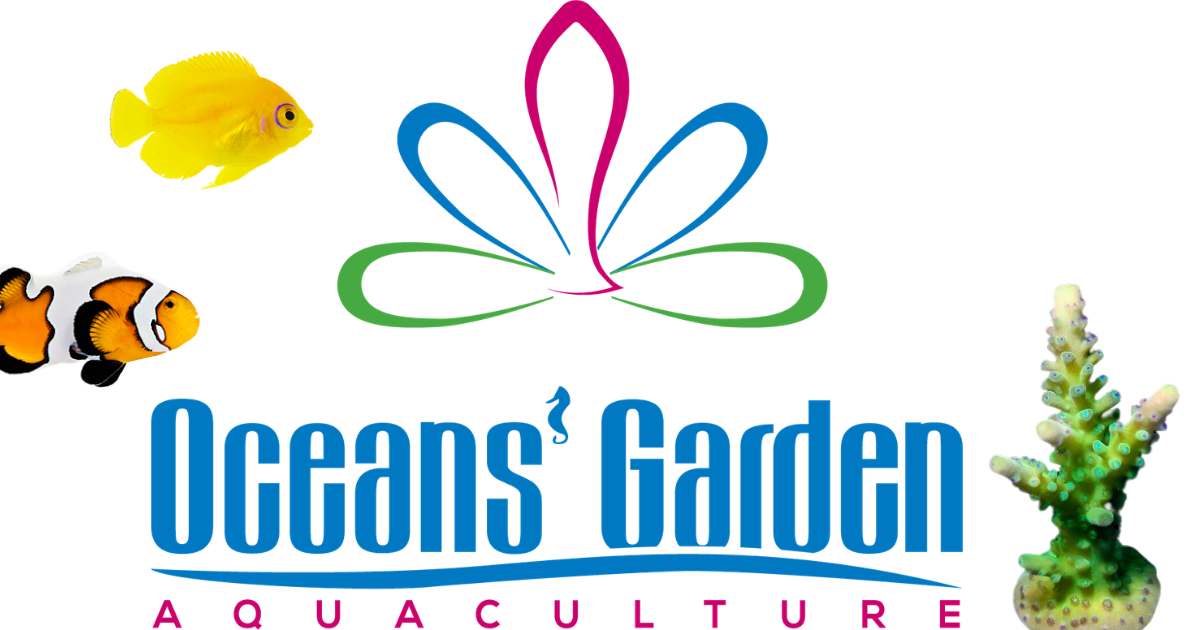 www.oceansgarden.com