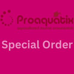 Custom Order Proaquatix WYSIWYG